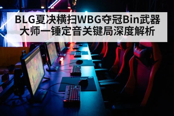 BLG夏决横扫WBG夺冠Bin武器大师一锤定音关键局深度解析